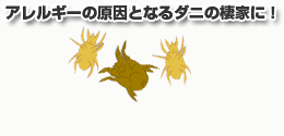 ふとんはアレルギーの原因となるダニの棲家に!