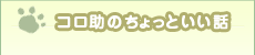 コロ助のちょっといい話