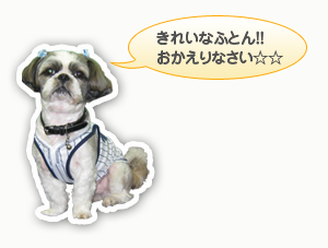 きれいなふとん!!おかえりなさい!