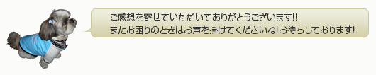 ご感想を寄せていただいてありがとうございます！またお困りのときはお声を掛けてくださいね！お待ちしております！